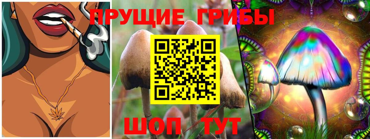 Галлюциногенные грибы Cubensis  Галлюциногенные грибы мицелий  Вход с VPN  Нижневартовск 